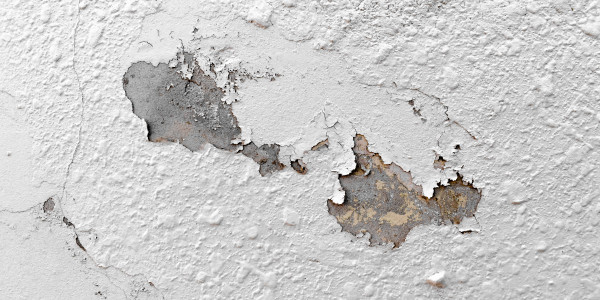 Pintar Fachadas de Naves Industriales, Fábricas y Almacenes en Hospitalet de Llobregat · Pintura Antihumedad / Antimoho para Humedades / Moho