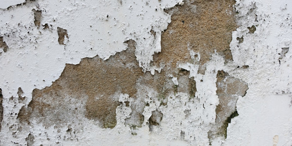 Pintar Fachadas de Empresas / Negocios / Locales Comerciales en Hospitalet de Llobregat · Pintura Antihumedad / Antimoho para Humedades / Moho